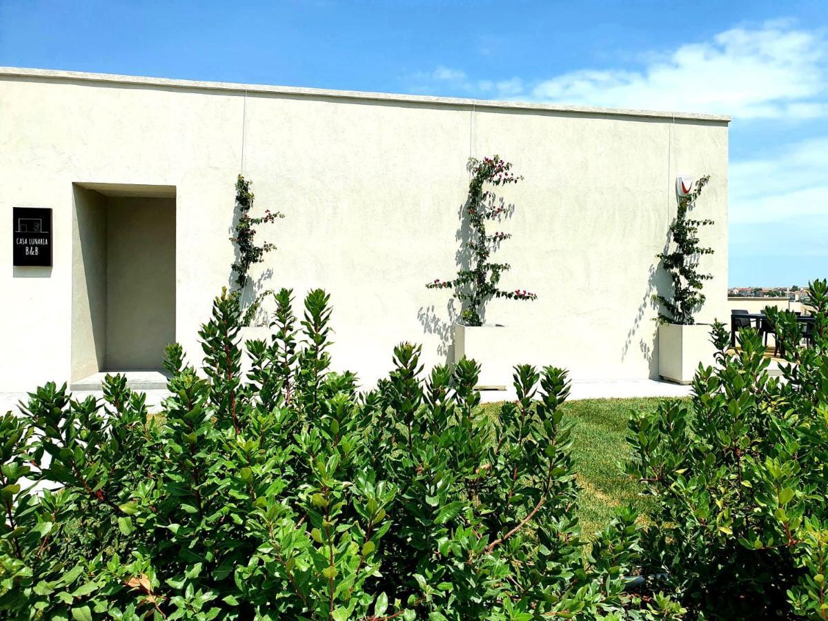 Casa Lunaria B&B Porto SantʼElpidio Εξωτερικό φωτογραφία